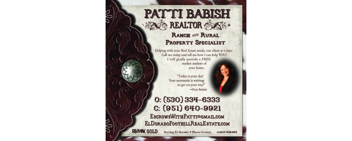 Patti Babish Realtor